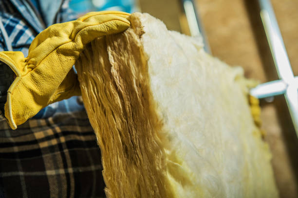 Best DIY Insulation Kits and Guidance in Summerfield, MD
