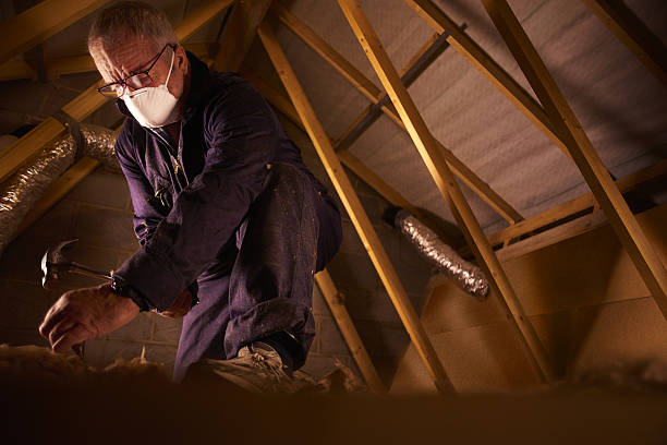 Best Specialized Insulation Services in Summerfield, MD